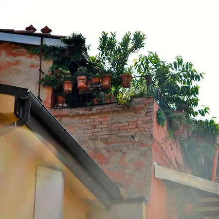 Margherita Homes